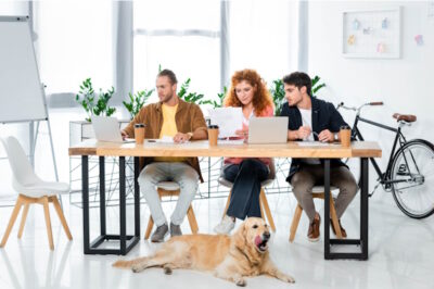 Hund im Büro unter Schreibtisch