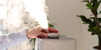 Darauf sollten Sie bei Luftbefeuchtungsanlagen achten
